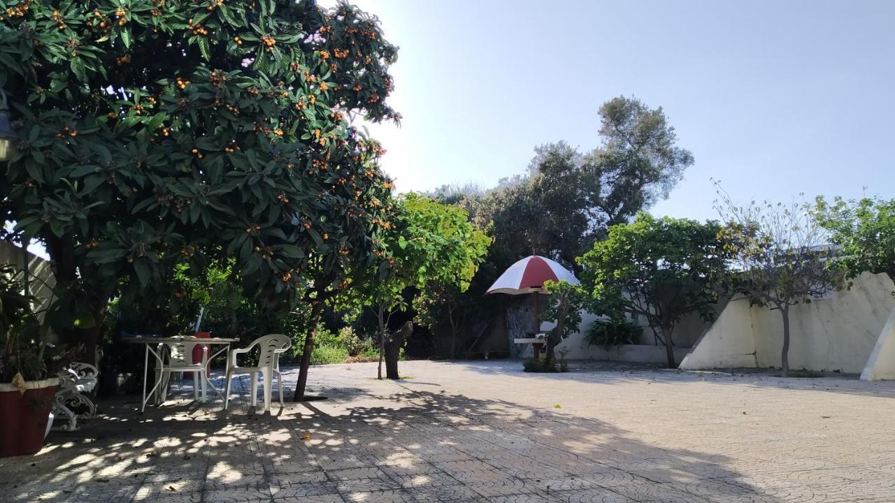 Forever Sao Bras São Brás de Alportel 外观 照片